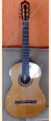 Guitarra de granadillo con pinabete 1